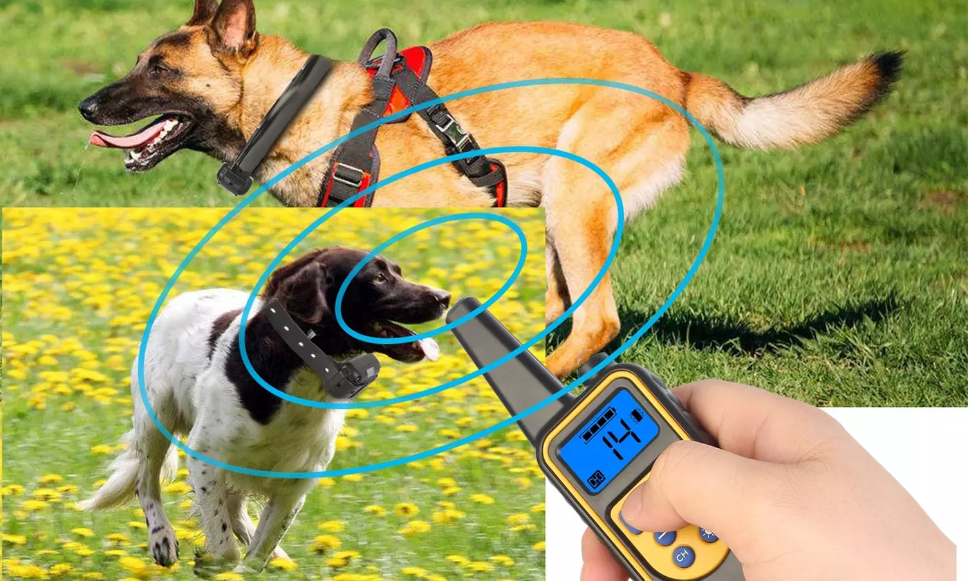 iMounTEK Waterproof Vibration and Shock Dog Training Collar