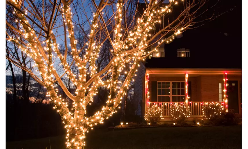 Weatherproof 100-LED Solar String Lights, 100 Ft. (1 or 2 Pack) - Primary Image