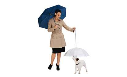 Transparent Pet Umbrella With Handle And Leash