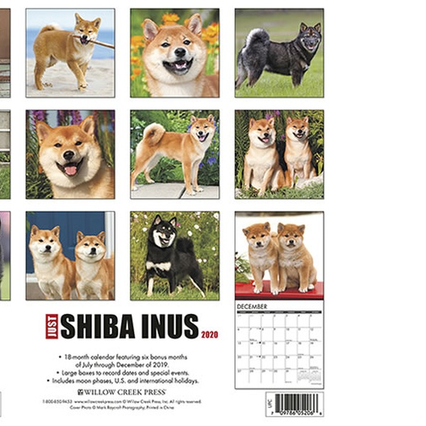 2020 Just Shiba Inus Wall Calendar