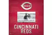 Fan Creations MLB Team Name Frame - Second Medium