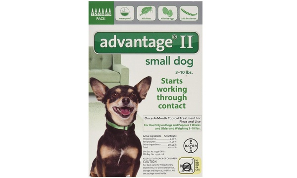 Advantage 2 small top dog