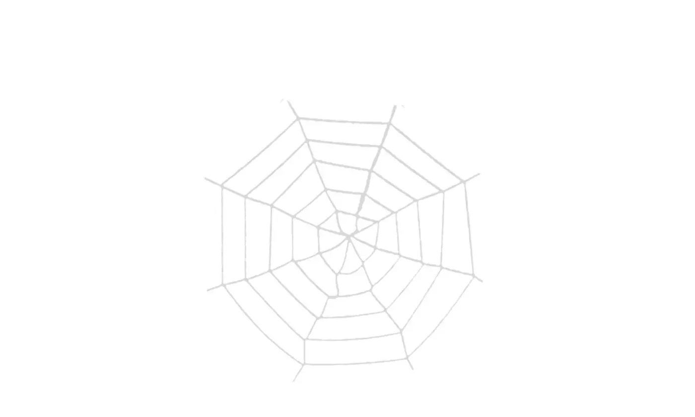 Giant Spider & Web Halloween Decoration Props