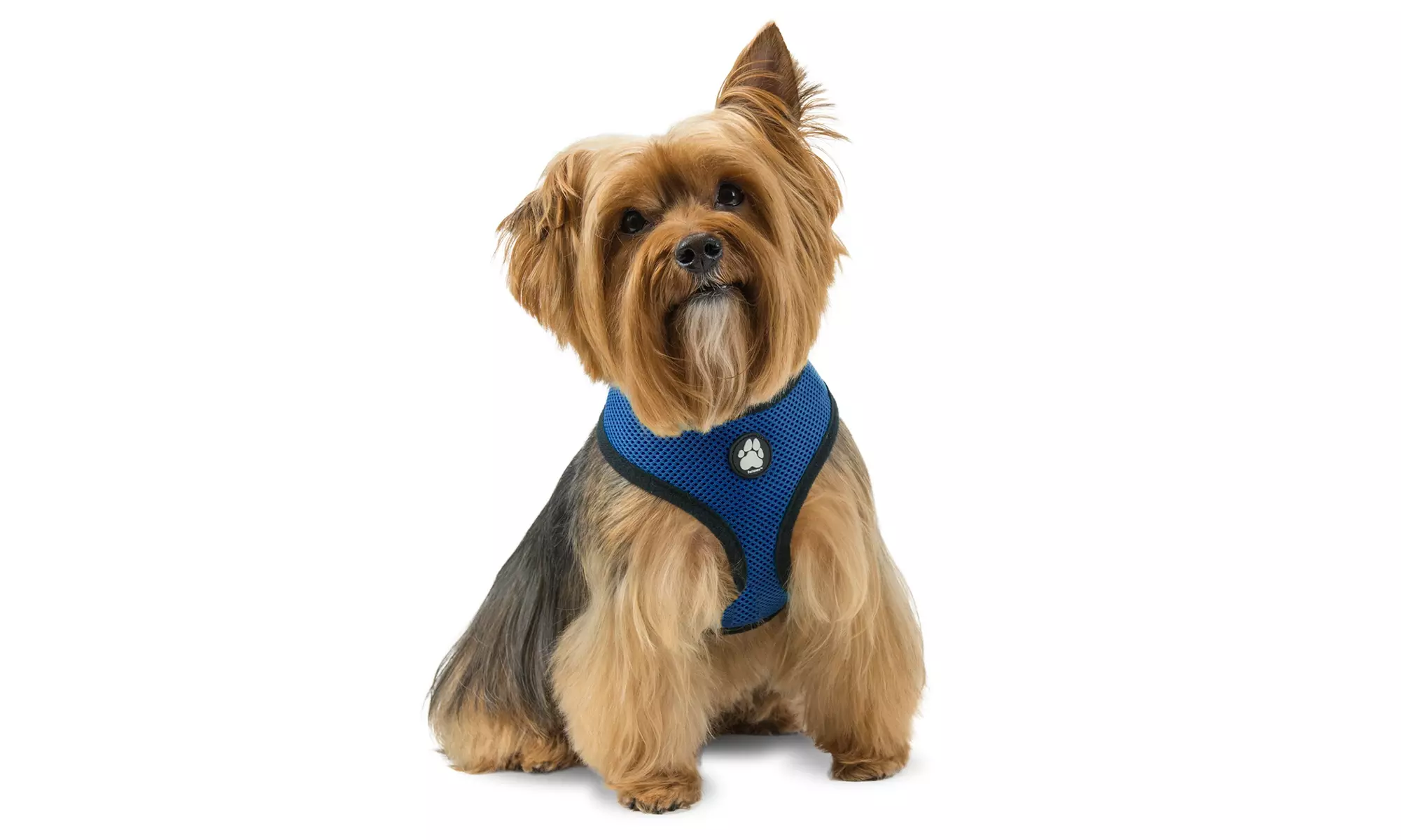 FurHaven Pet Easy Comfort Mesh Dog Harness