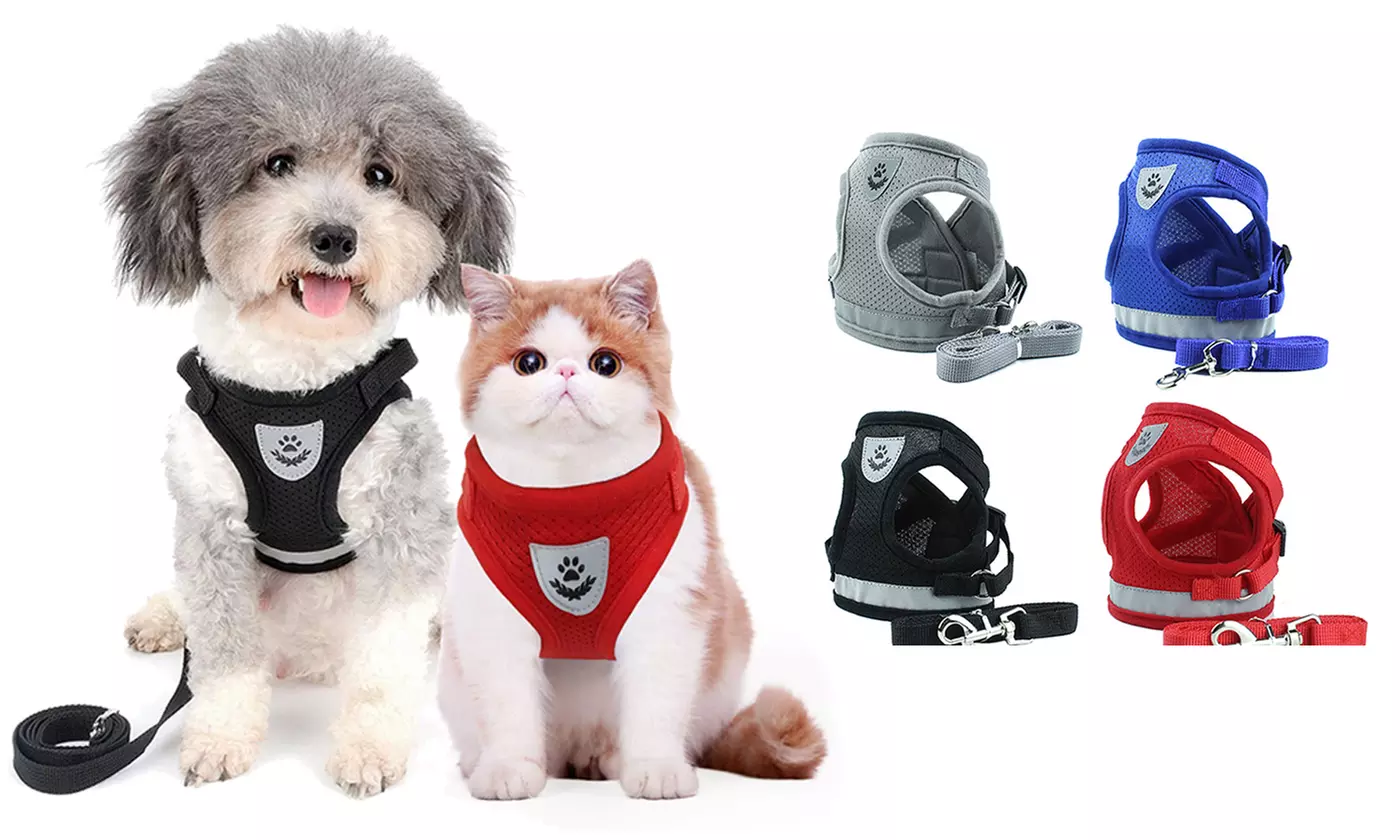 Mesh Harness Vest Collar Reflective Vest Lead With Leash Reflective For Dog Cat - Primary Image