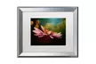 Lois Bryan 'The Secret World of Coneflowers' Matted Silver Framed Art - Second Medium