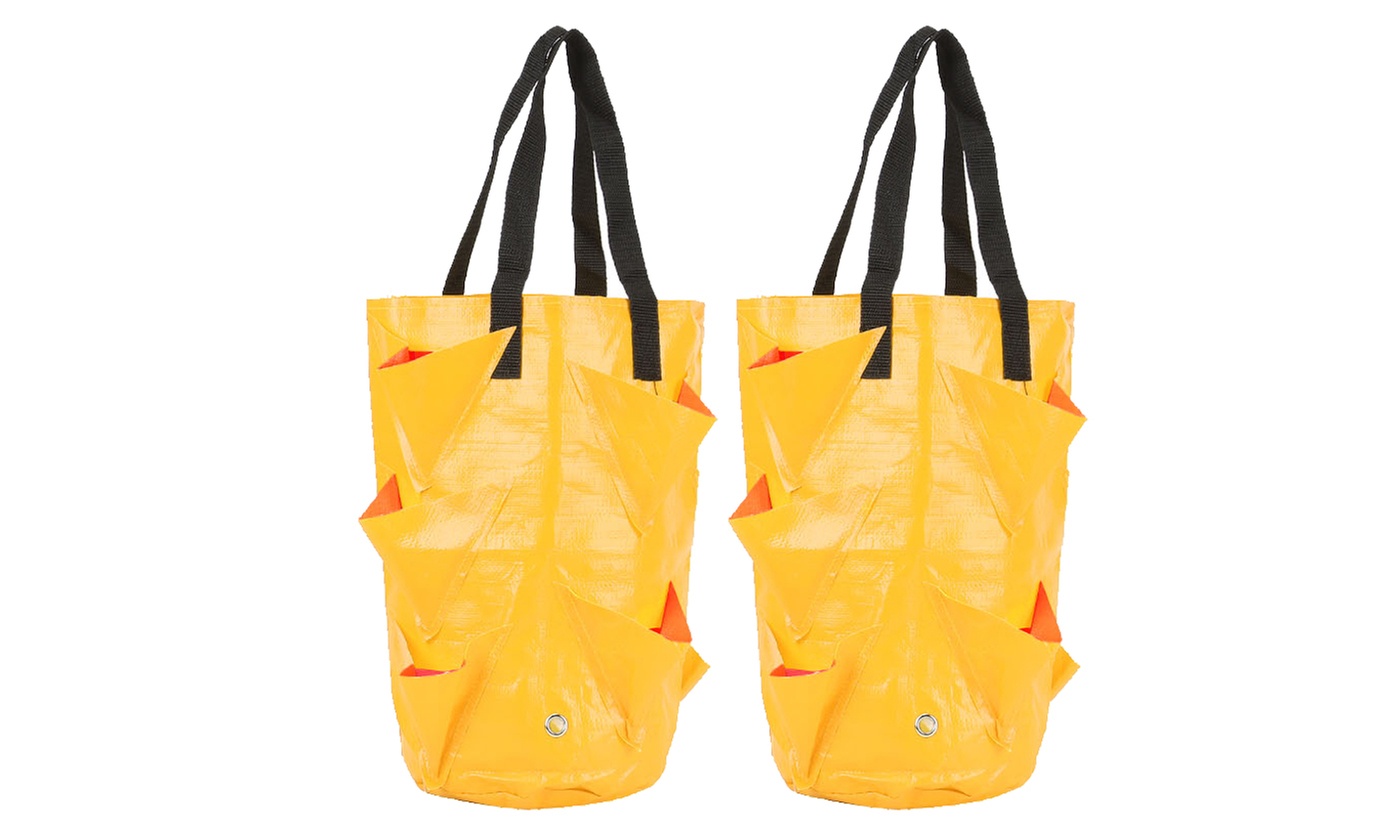 3 Gallon Strawberry Grow Bag Strawberry Plant Bag with 8 Side Planting Pockets