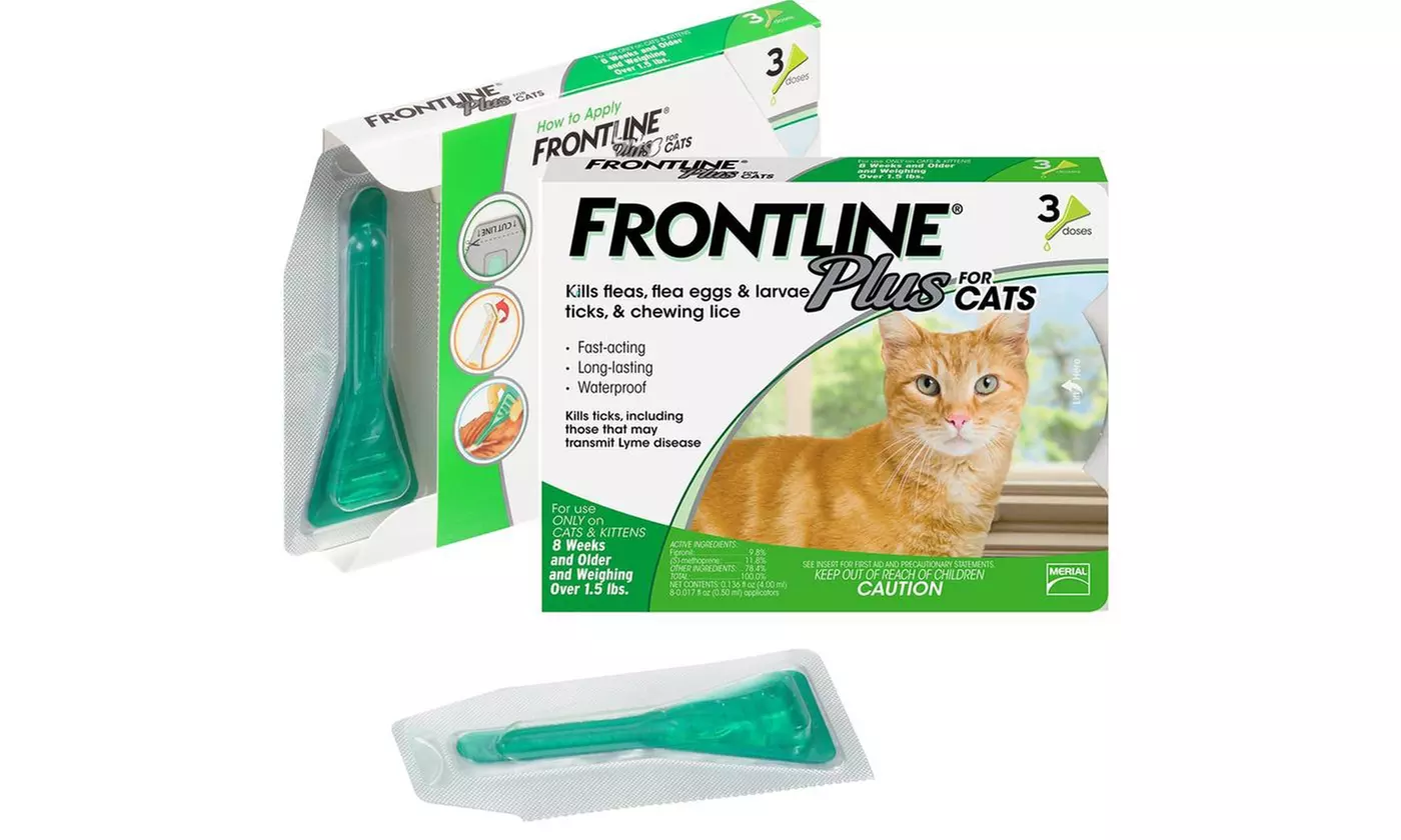 Frontline Plus for Cats and Kittens over 1.5 Ibs Flea and Tick Treatment - Primary Image