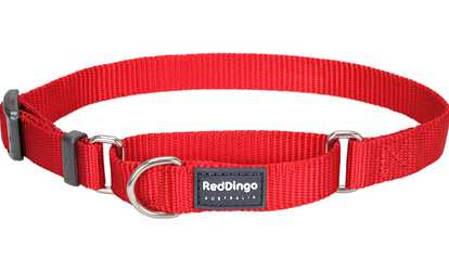 Red Dingo MC-ZZ-RE-SM Martingale Dog Collar Classic Red, Small