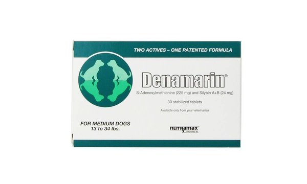 Denamarin for medium hotsell dogs best price