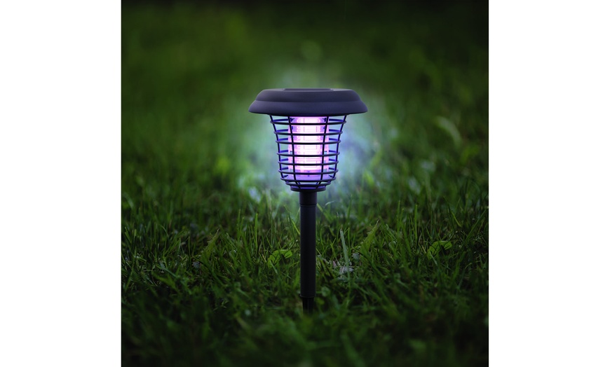 solar uv black light