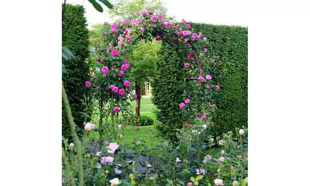Garden Arch Trellis,Adjustable Arbor Trellis for Garden Climbing Plants Support 