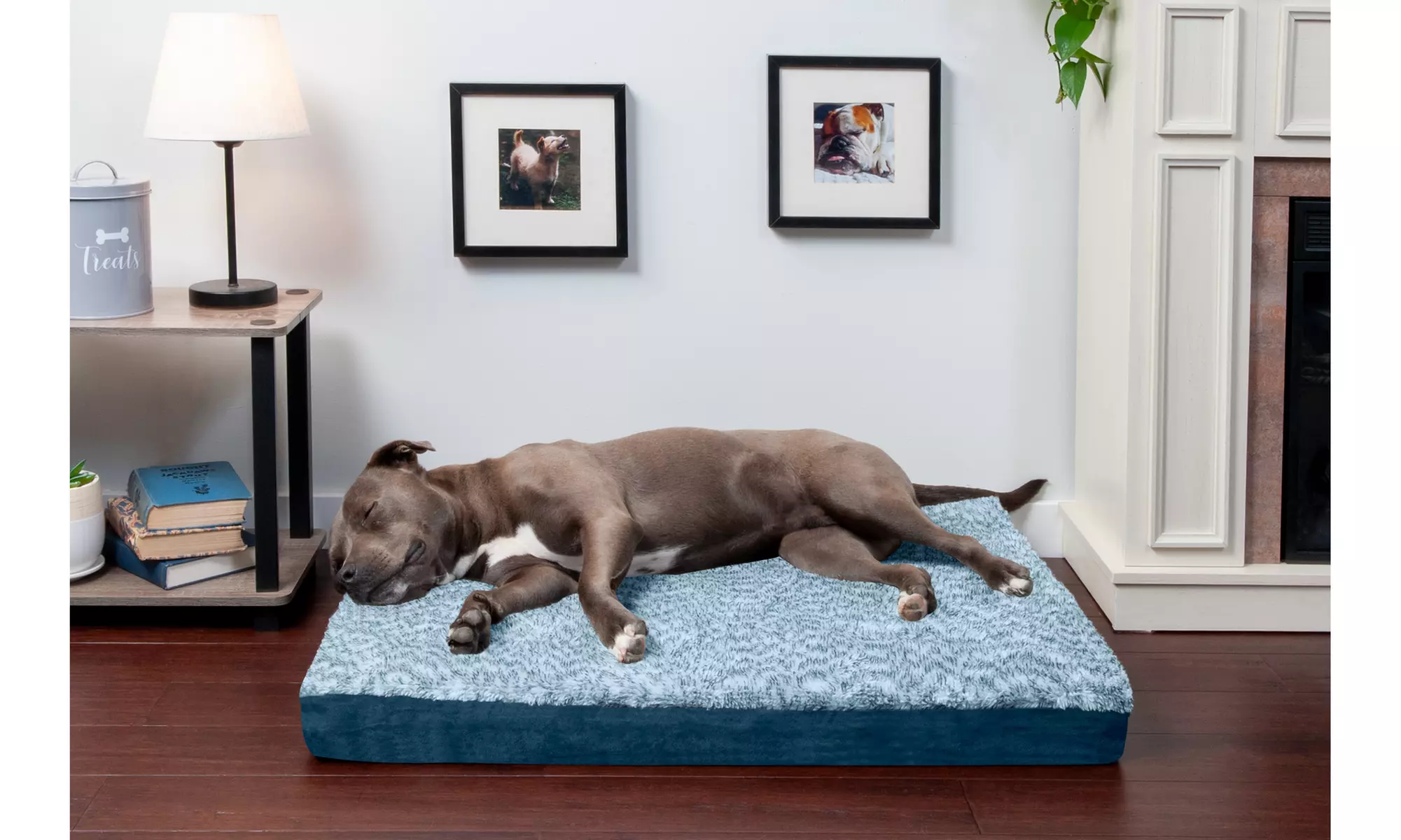 FurHaven Two-Tone Faux Fur Groupon Goods