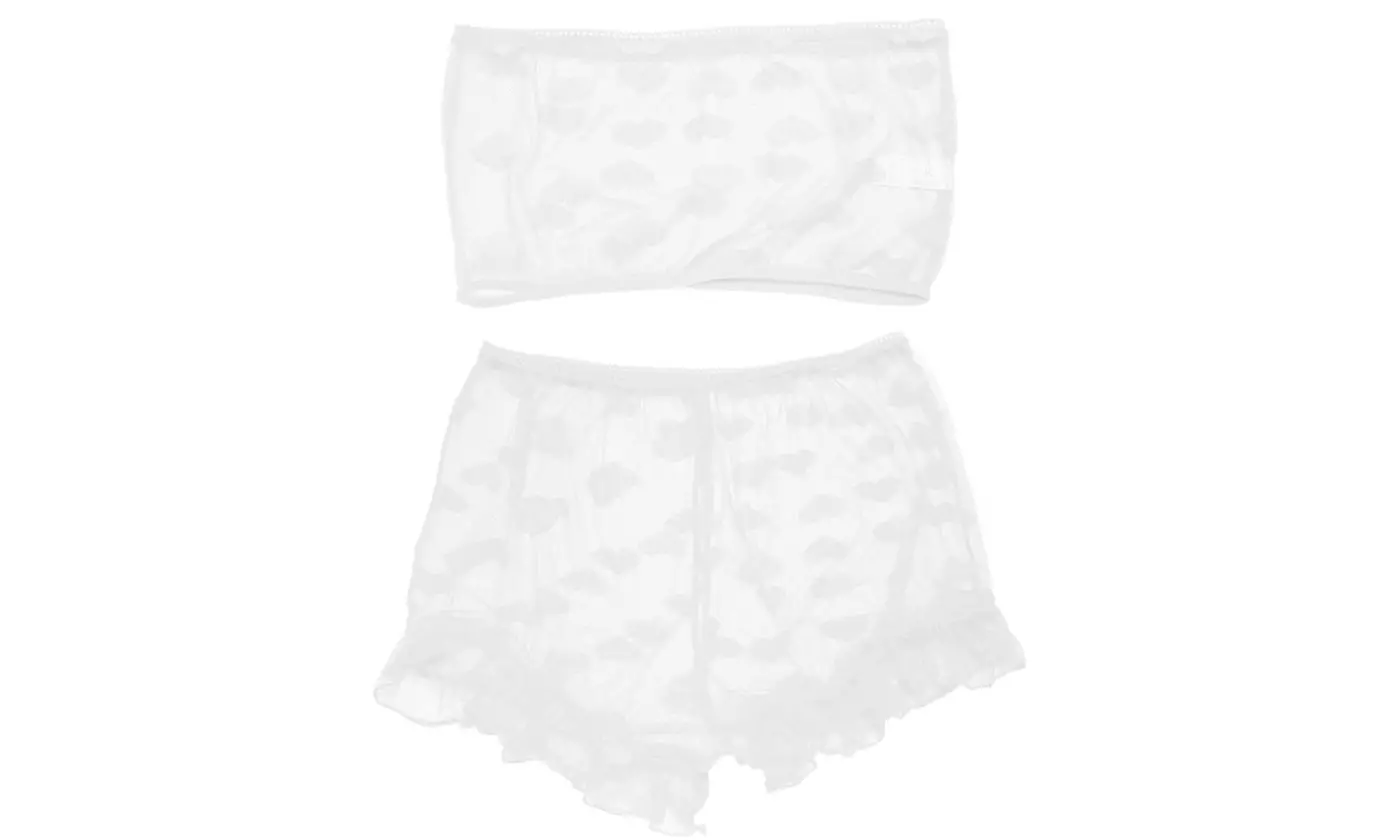 Women's Mesh Sheer Lace Sexy Bra and Panty 2 Piece Exotic Lingerie Sets