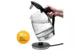 Magic Mill MEK-202S Glass Series 10-Cup Cordless Electric Kettle - Second Medium