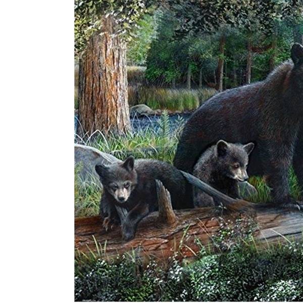 Dlc 62014 Rustic Black Bear Cubs Shower Curtain 0 1 X 70 75 X