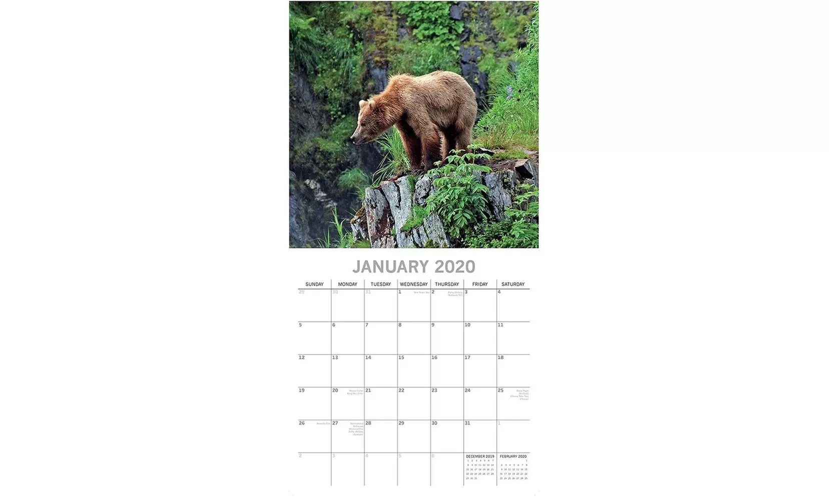 The Gifted Stationery 2020 Wall Calendar - Bears , 12" Monthly View, 16-Month - Second Medium