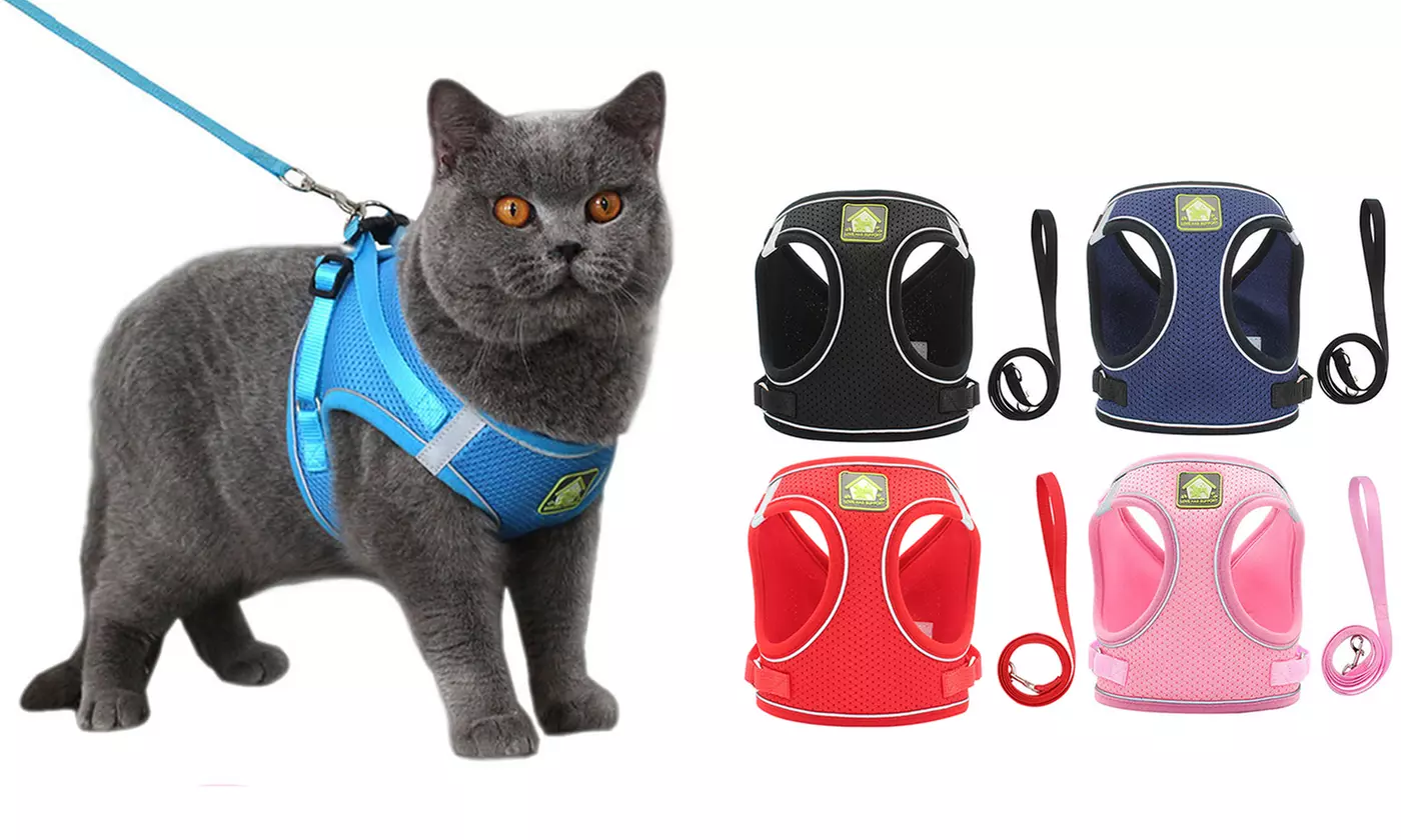 For Small Medium Dog Cat Harness Leash Set Breathable Mesh Vest Reflective - Primary Image