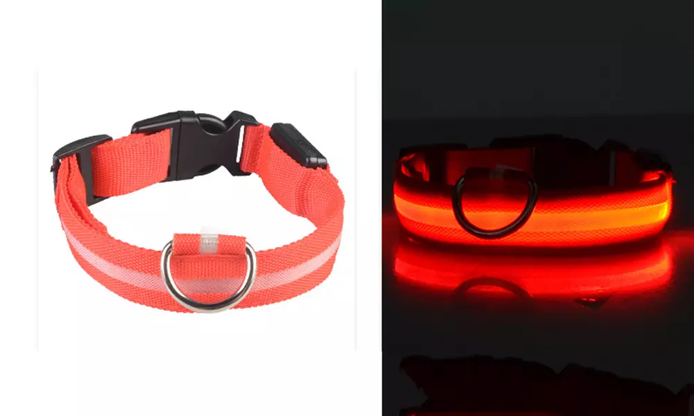 LED Dog Pet Light Up Safety Collar Night Glow Adjustable  Prevent The Lost - Second Medium