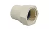 0.75 in. Mpt x Skt Male Adapter