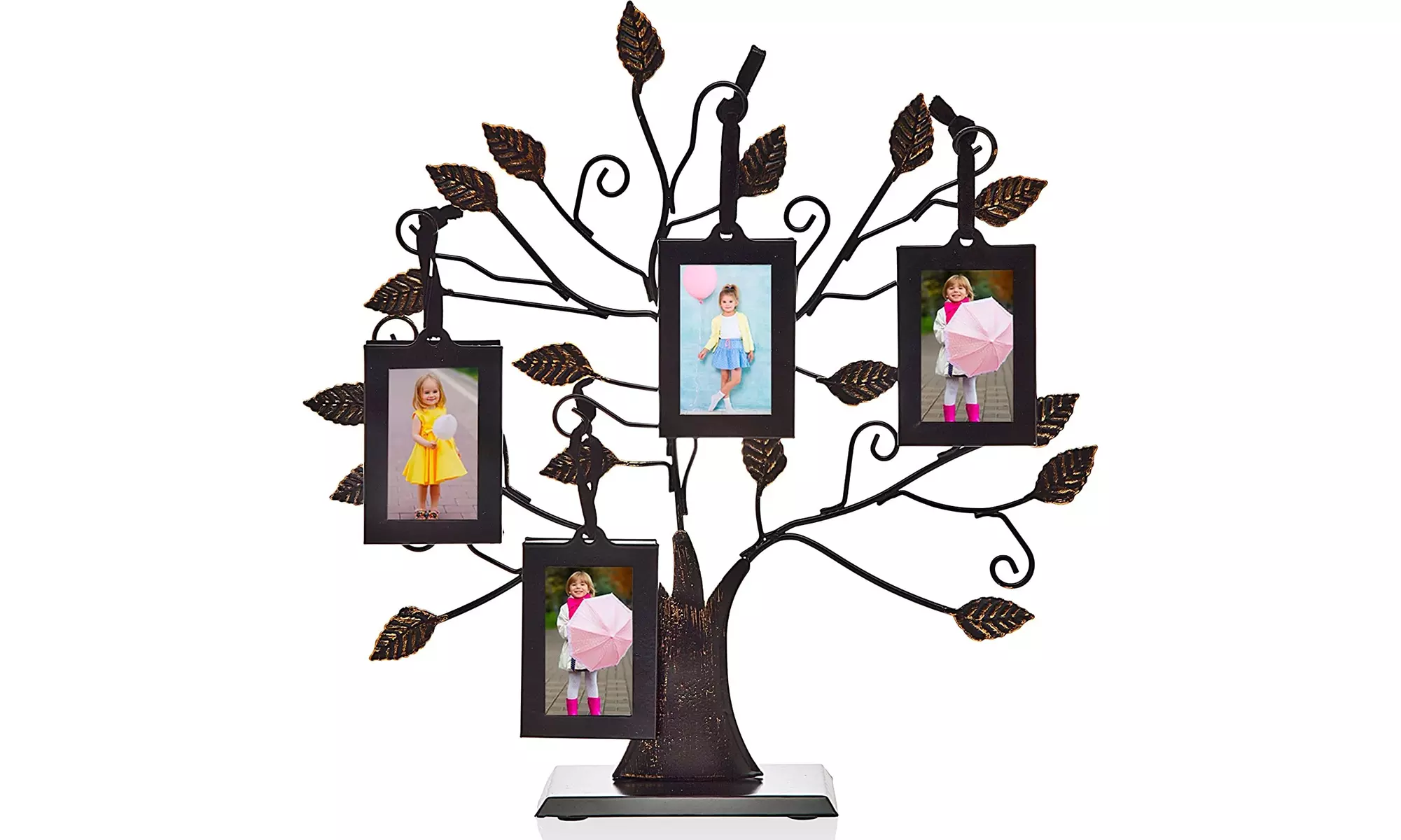 Tree of Life Multi-Size Picture Holder & 6 Frames - Primary Image