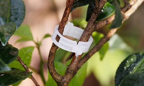 50/100Pcs Plant Support Clips For Garden Vine To Grow Upright White 50 Pack