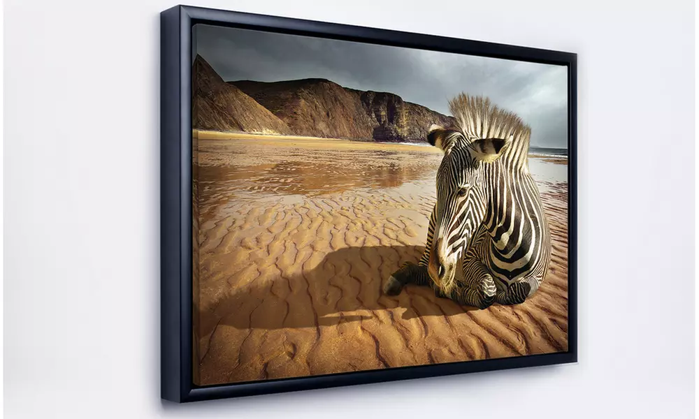 Beach Zebra - Animal Photography Framed Canvas Art - Second Medium