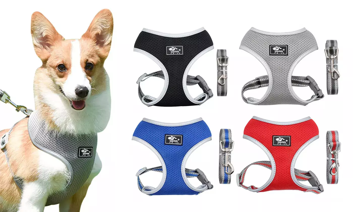 Breathable Pet Dog Mesh Harness No Pull Reflective Walking Vest Leash Set   - Primary Image