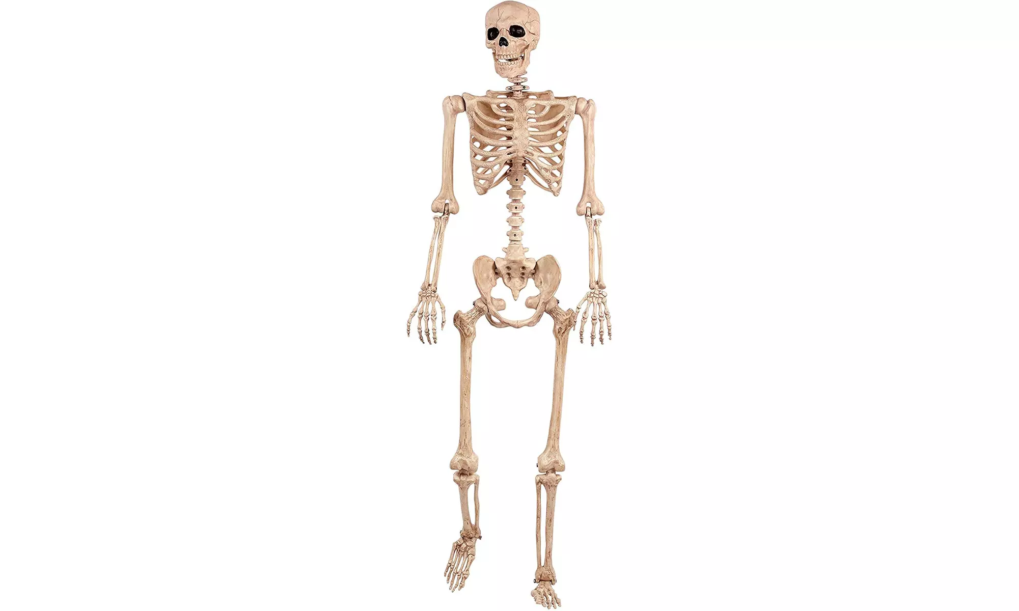 Crazy Bonez pose - N-type skeleton - Primary Image