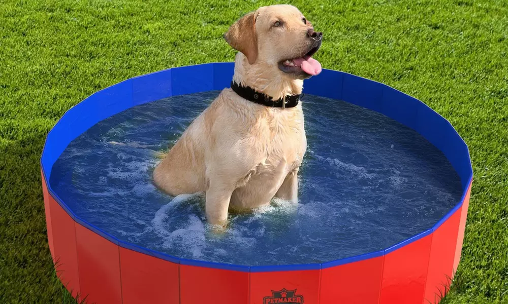 Pet Pool and Bathing Tub-Foldable with Carrying Bag, Travel Friendly Tub - Primary Image