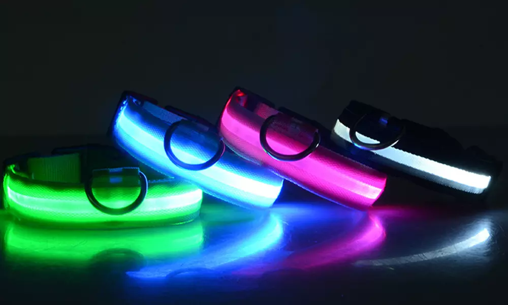 LED Dog Pet Light Up Safety Collar Night Glow Adjustable  Prevent The Lost - Primary Image