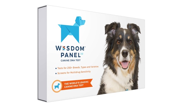 Wisdom panel 3.0 outlet breed identification