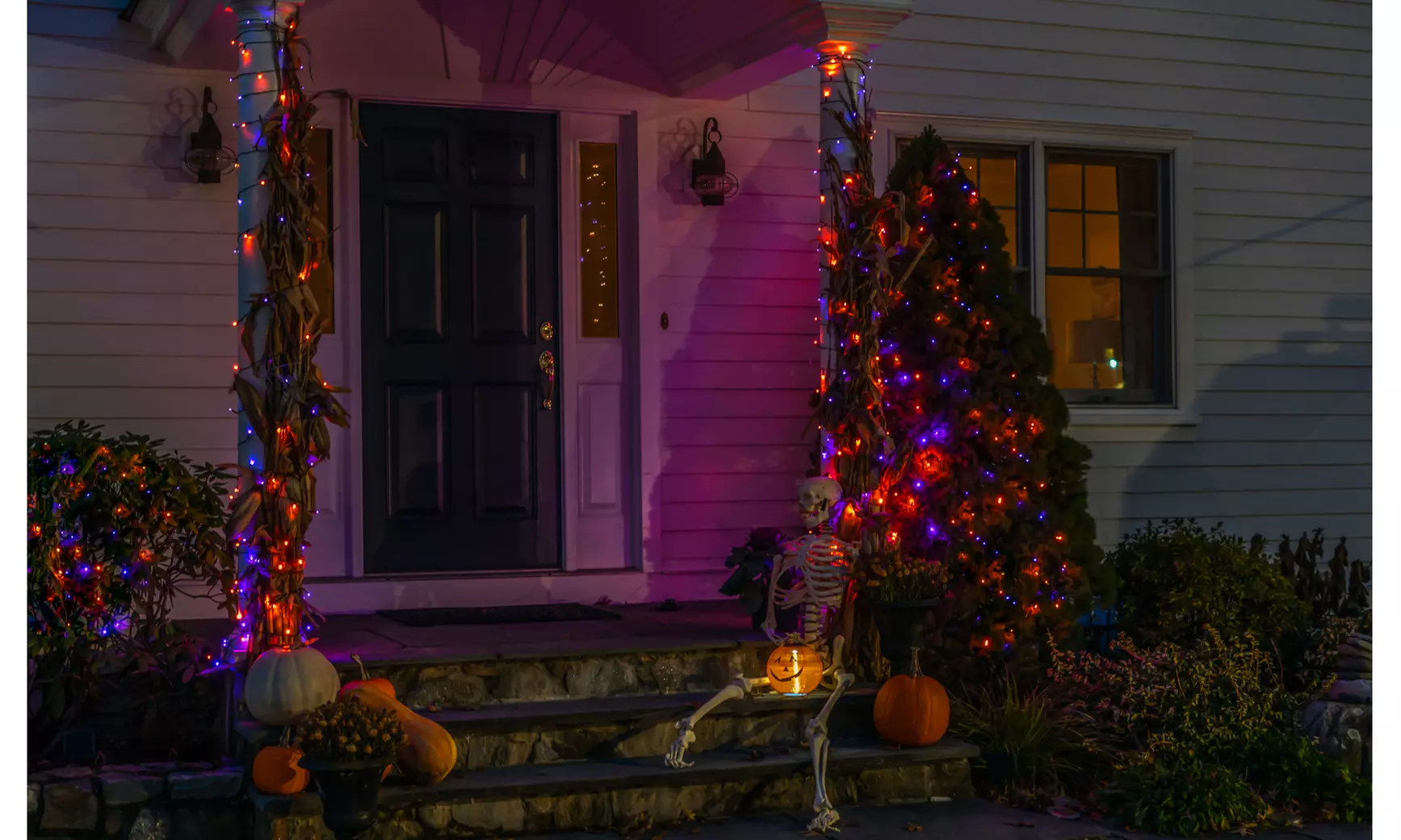 125LED Solar Powered String Lights. Multiple Colors & Quantities Available. 
