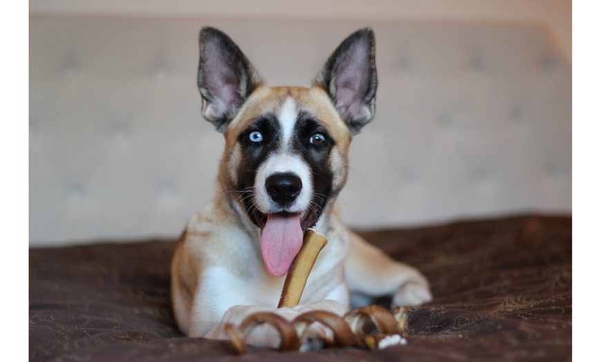 bully sticks for dogs in bulk