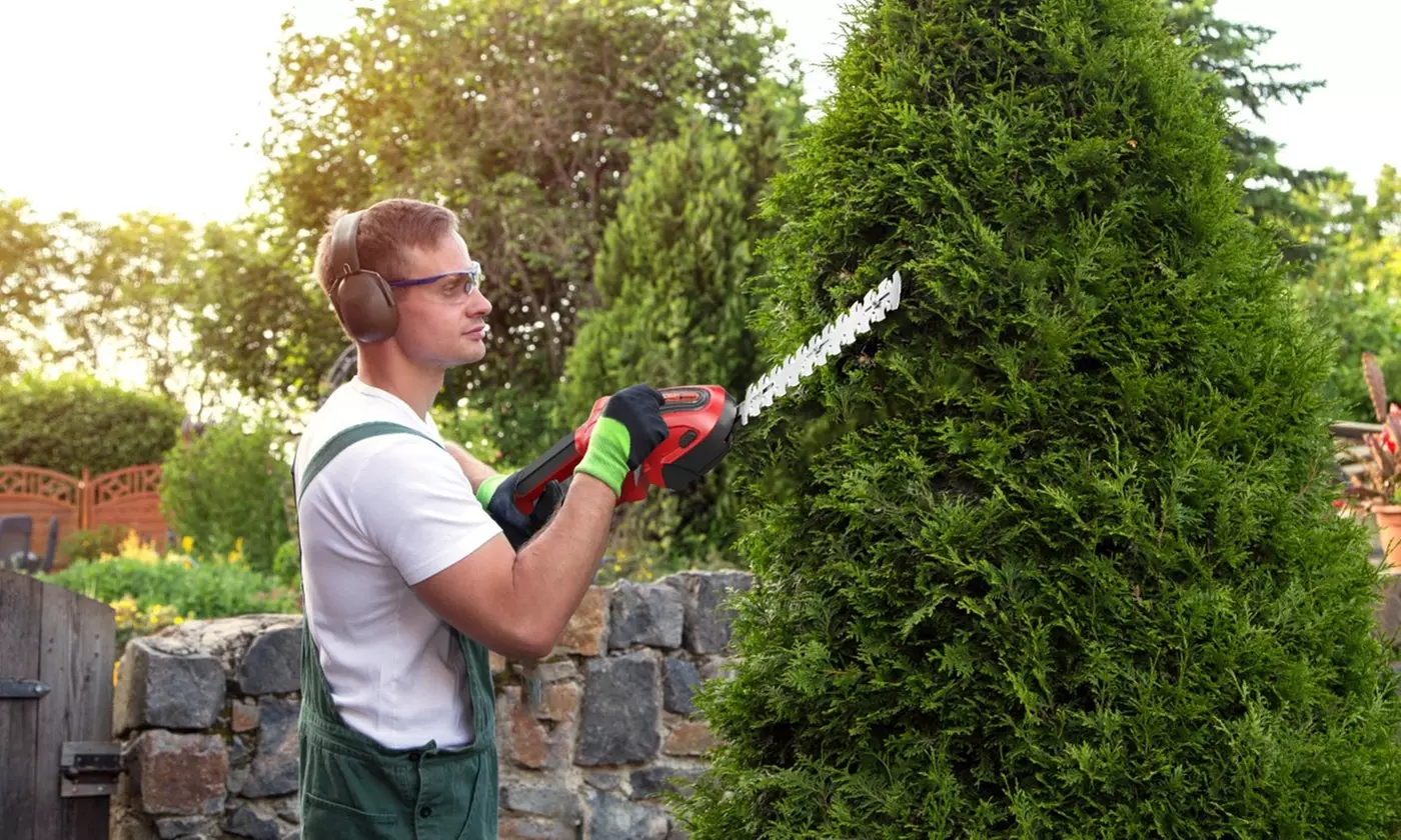 LakeForest Lawn Essentials 21V Cordless Tool Collection