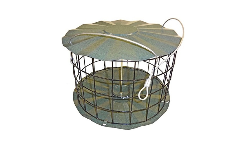 dove proof feeders