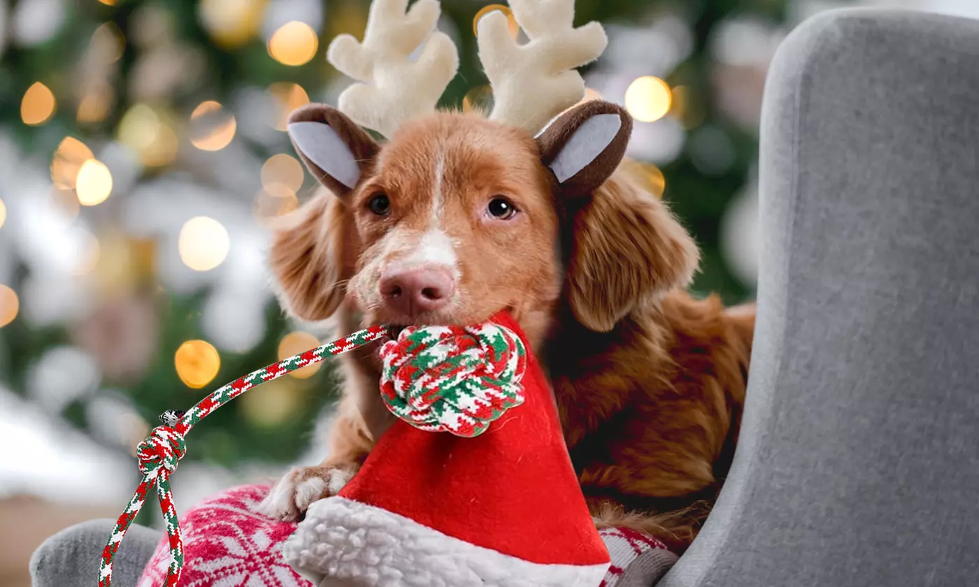 iMounTEK Christmas Dog Rope Chew Toys