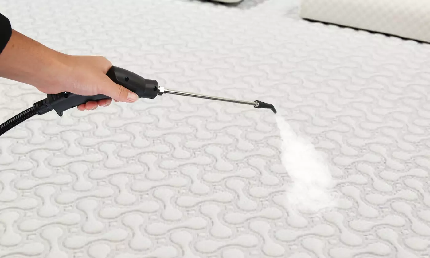 iMounTEK 2500W Powerful Handheld Steam Cleaner High-Temp Deep Cleaning Steamer