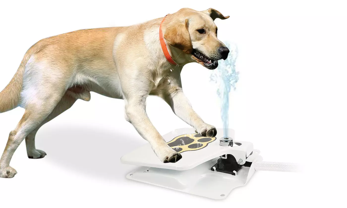 iMounTEK Outdoor Step-On Dog Water Fountain Pet Water Dispenser