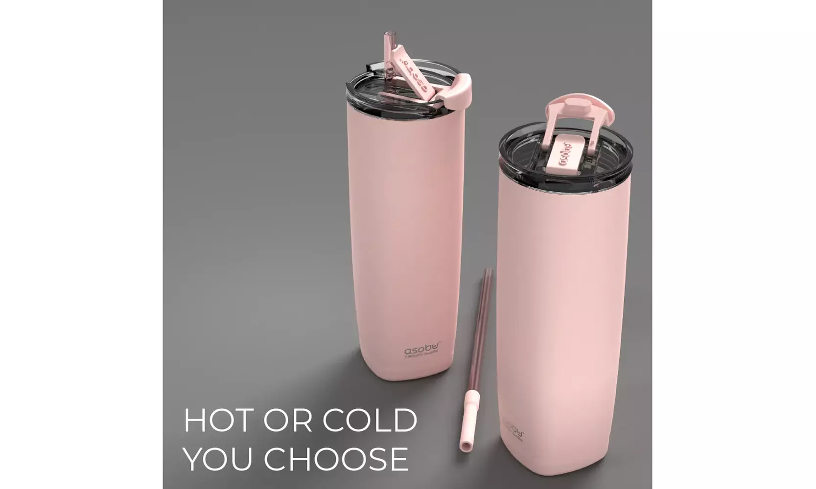 Asobu Aqualina 20oz Insulated Tumbler Water Bottle with Leakproof Lid and Straw