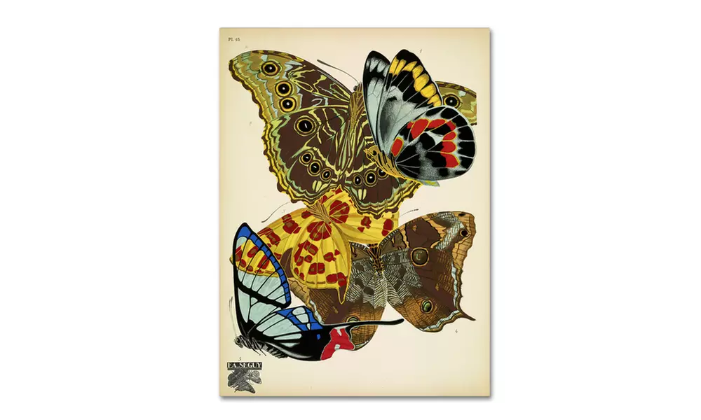 Vintage Apple Collection 'Papillons 15' Canvas Art - Primary Image
