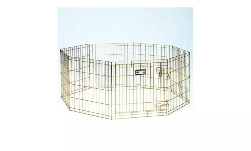 Gold Zinc Exercise Pen - Primary Image