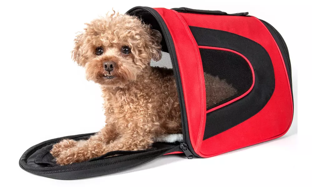 Airline Approved Folding Zippered Sporty Mesh Pet Carrier - Primary Image