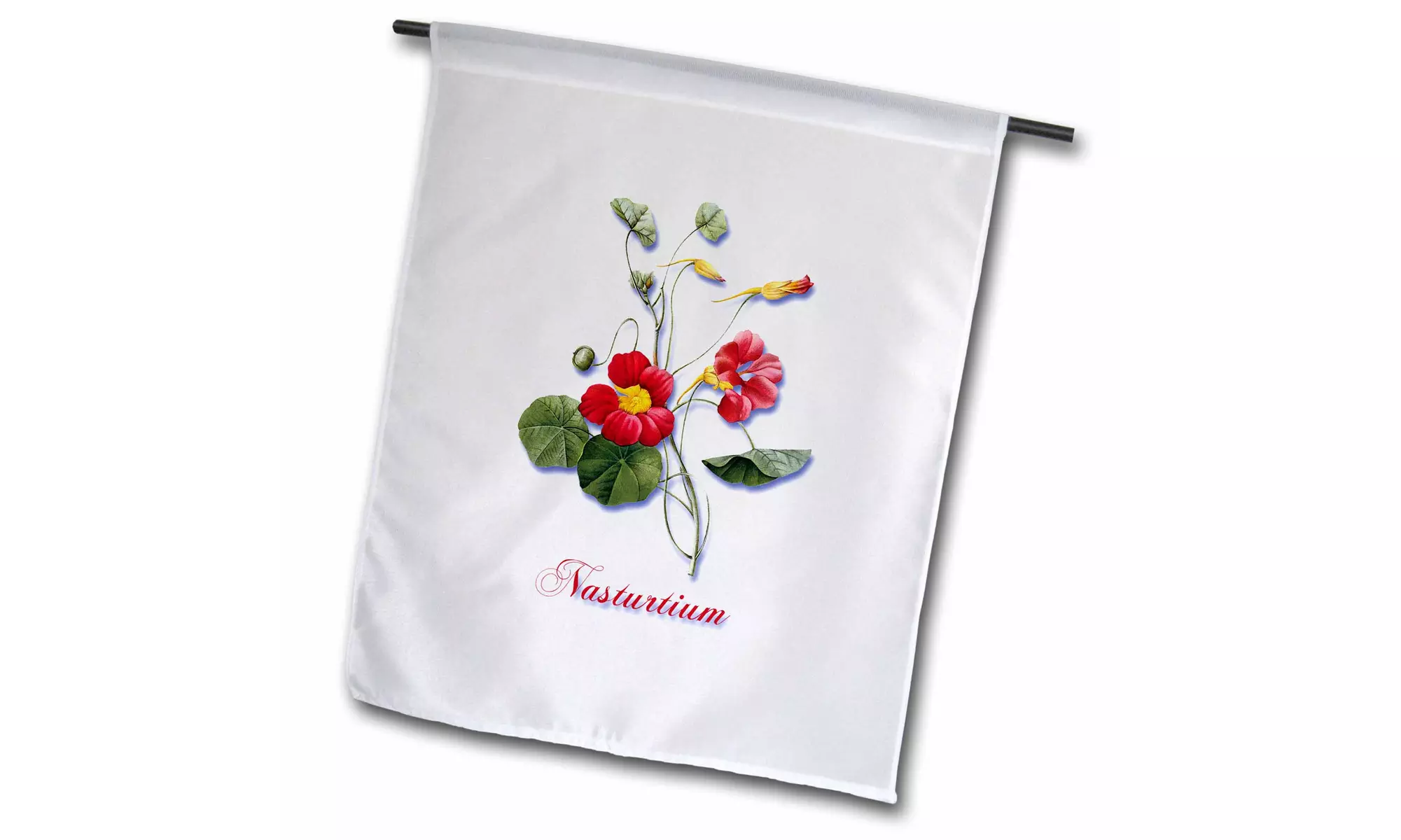  Garden Flag Beautiful Red and Yellow Nasturtium Botanical Print - Primary Image