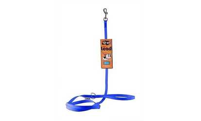 GoGo 15001 Extra Small 0.38 In. X 4 Ft. Blue Comfy Nylon Leash