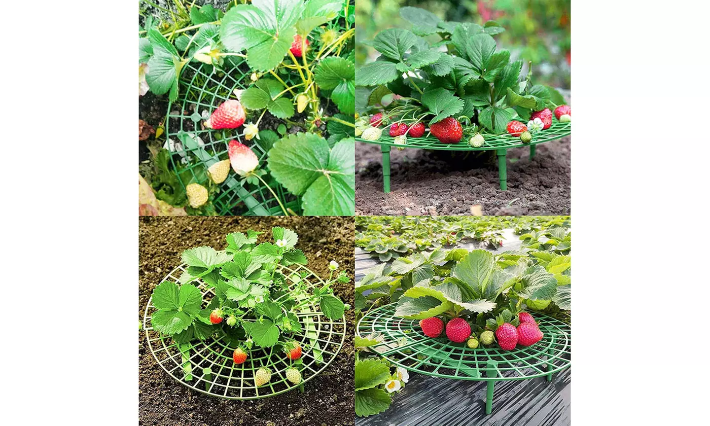 Strawberry Stand Frame Holder Balcony Planting Rack Fruit Support Adjustable