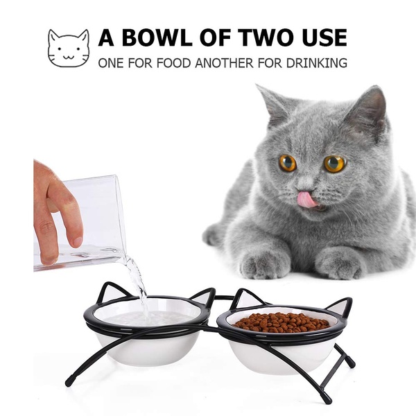 elevated food and water bowls