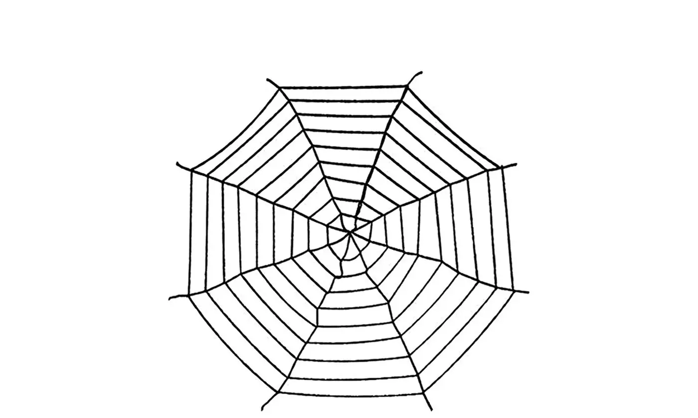 Giant Spider & Web Halloween Decoration Props
