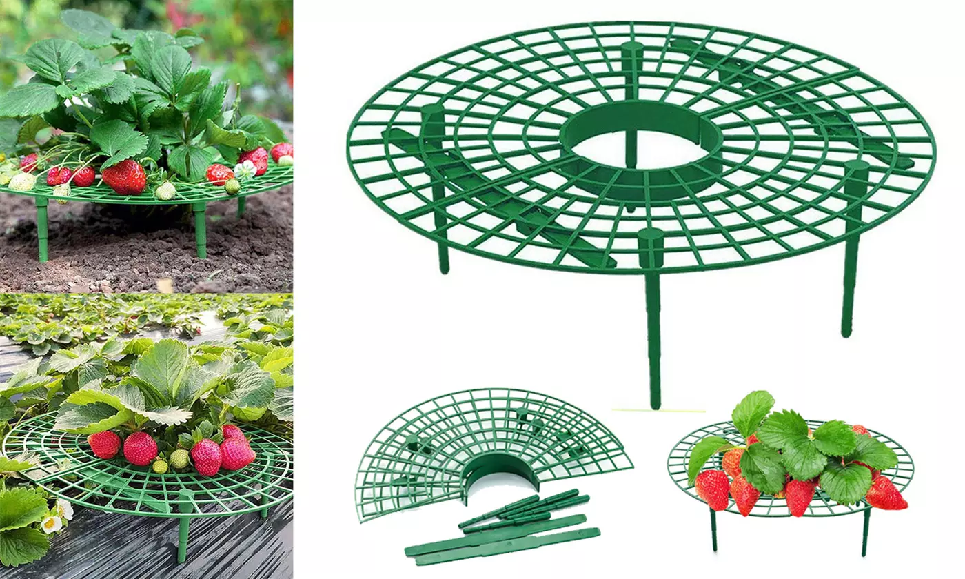 Strawberry Stand Frame Holder Balcony Planting Rack Fruit Support Adjustable - Primary Image