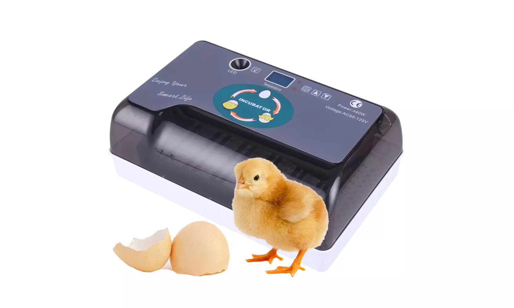12-Egg Adjustable Egg Tray Practical Fully Automatic Poultry Incubator Set  - Primary Image